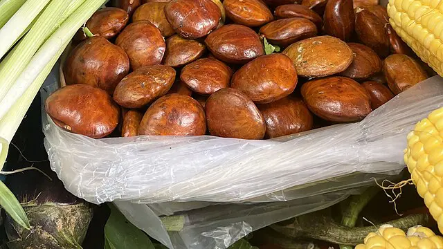 Ilustrasi Jengkol Mentah