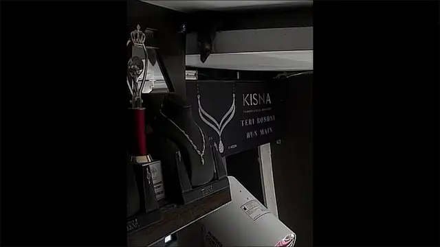 Tikus Curi Kalung