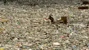 Teresita Gapayao (51) mengais sampah menggunakan rakit yang terbuat dari stereofoam di aliran Sungai Estero de Vitas di Tondo, Manila, Filipina, Kamis (21/4). Teresita mengumpulkan botol plastik atau apapun yang bisa dijual ke junkshops. (Noel CELIS/AFP)