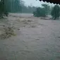 Luapan beberapa sungai di wilayah Garut bagian selatan, menyebabkan beberapa desa di tiga kecamatan wilayah Garut Selatan terkena sapuan banjir bandang. (Liputan6.com/Jayadi Supriadin)