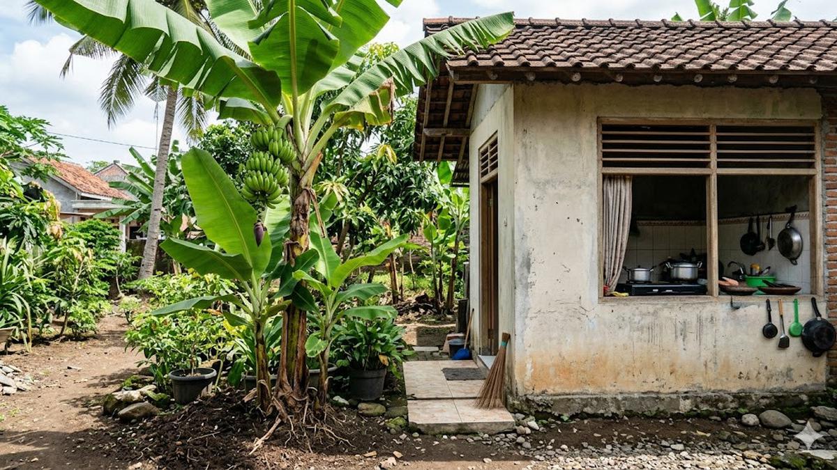 8 Pohon Buah Berakar Dangkal Cocok Ditanam Dekat Dapur Rumah, Aman dan Adem