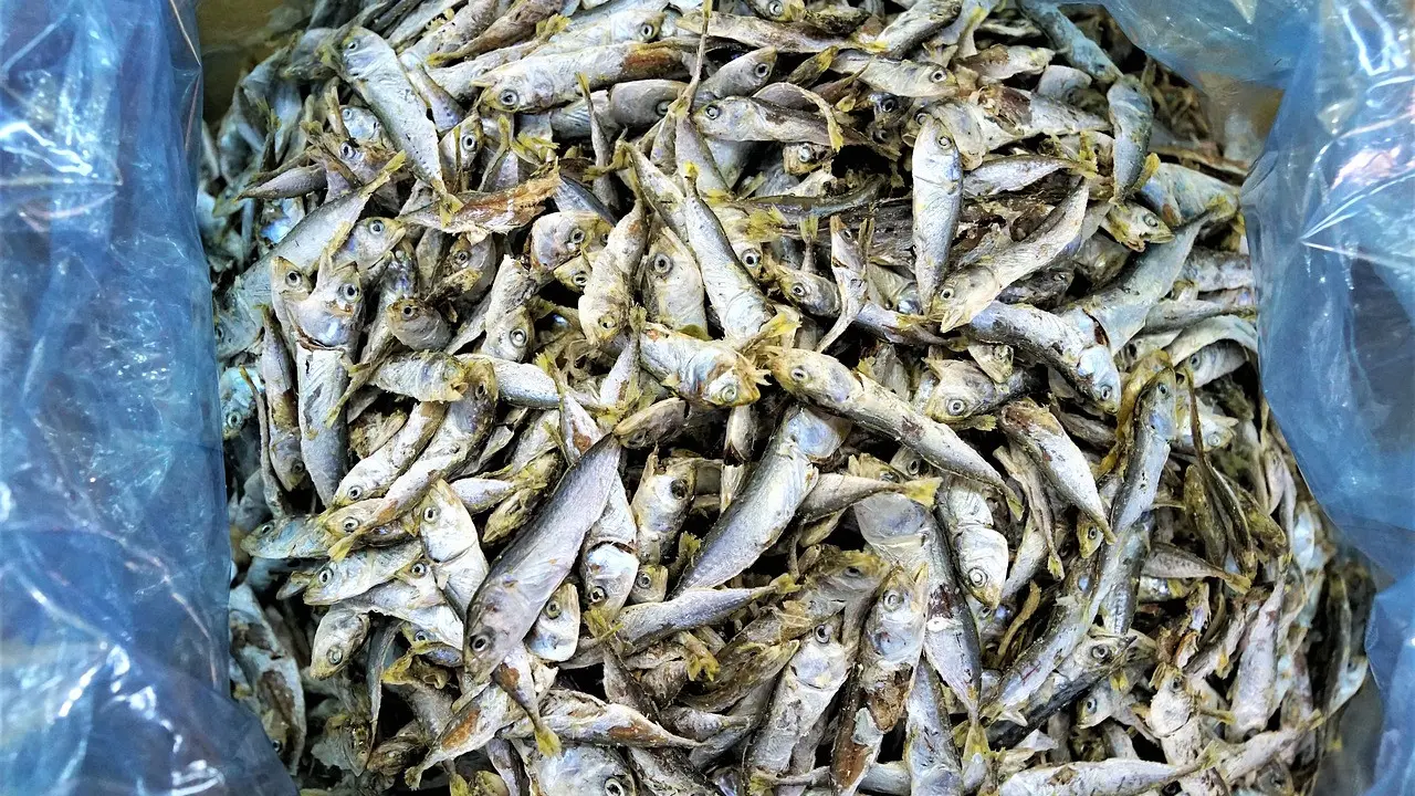 Ilustrasi resep ikan asin
