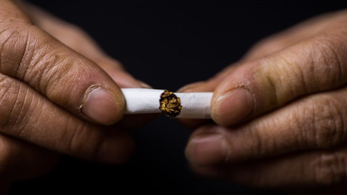 Nikotin: Manfaat, Dampak dan Cara Mengurangi Ketergantungan