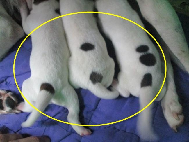 (Foto: This will blow my mind via Brilio.net)