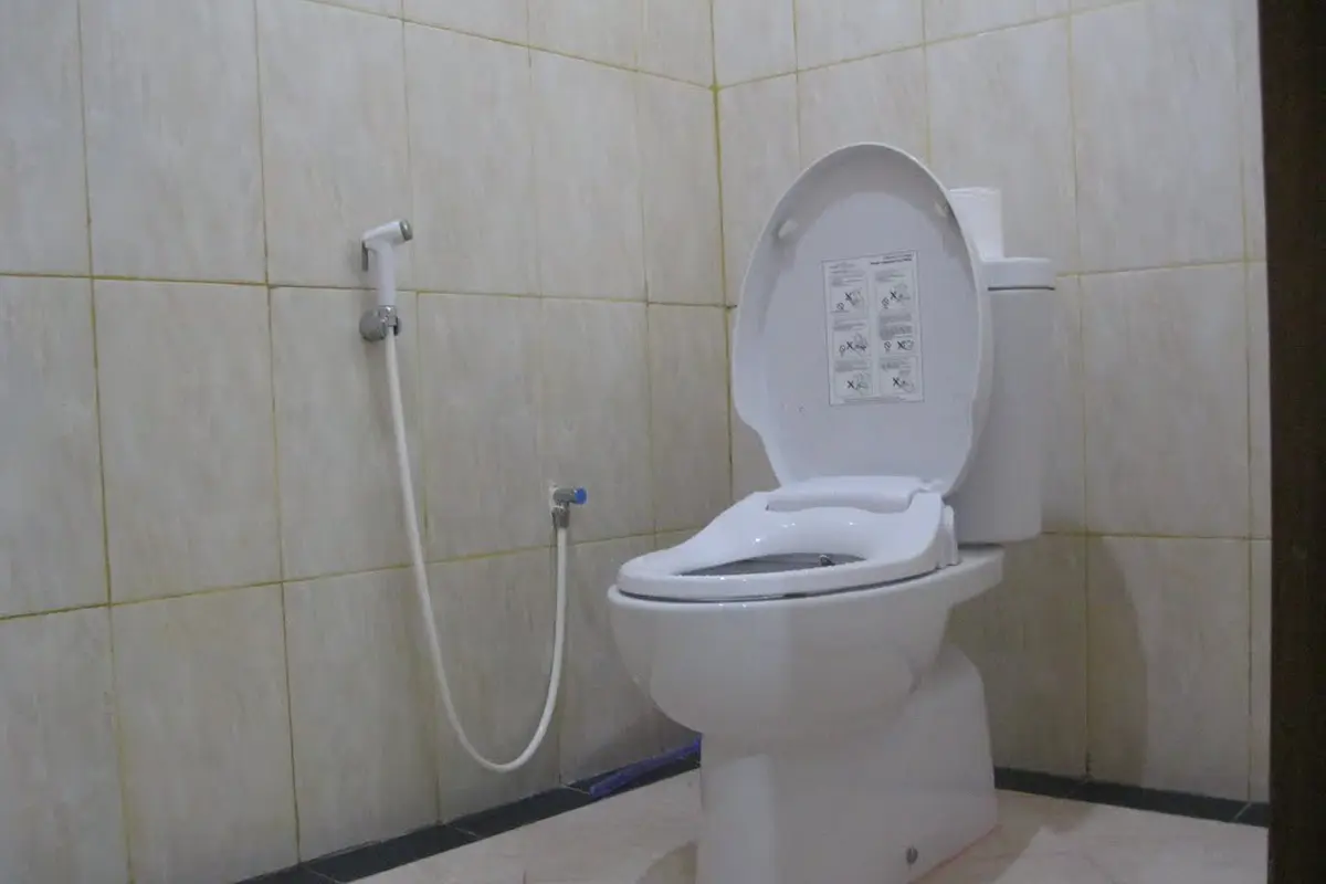 Perhatikan Hal Ini Saat Memilih Toilet Duduk