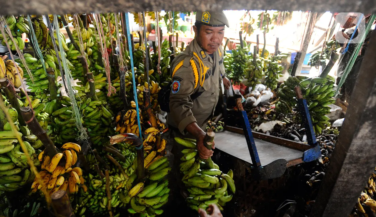 Petugas Satuan Polisi Pamong Praja (Satpol PP) Kota Tangerang Selatan memindahkan pisang saat membongkar lapak pedagang kaki lima (PKL) di luar area Pasar Ciputat, Tangerang Selatan, Banten, Selasa (14/2/2023). Penertiban ini ditujukan untuk puluhan lapak PKL di sekitar Jalan Aria Putera, Jalan H. Usman, Jalan Bancet, dan kawasan Polikarbonat karena keberadaannya mengganggu ketertiban umum di antaranya kemacetan lalu lintas. (merdeka.com/Arie Basuki)