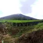 Panorama di bawah Gunung Dempo di Kota Pagar Alam Sumsel (Liputan6.com / Nefri Inge)