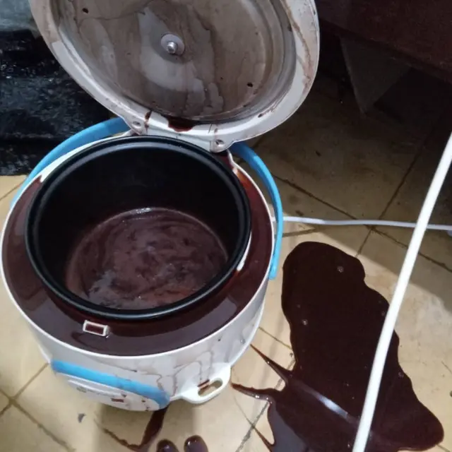 6 Momen Apes Masak Pakai Rice Cooker Ini Bikin Elus Dada, Suasana Hati Jadi Buruk