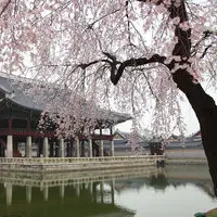 Korea Selatan/KIMDAEJEUNG Pixabay