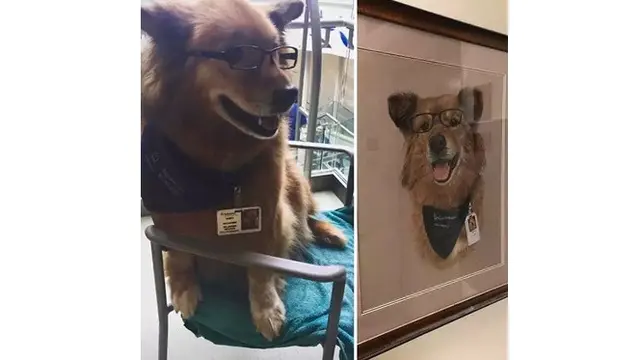 Tak Biasa, Anjing-anjing Ini Jadi Pekerja Layaknya Manusia