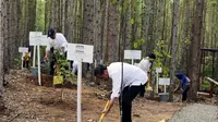 Presiden Joko Widodo (Jokowi) telah melakukan penanaman pohon di lokasi Miniatur Reforestrasi Hutan Tropis, Kawasan Ibu Kota Nusantara (IKN), Kabupaten Penajam Paser Utara, Provinsi Kalimantan Timur, Rabu, 20 Desember 2023 lalu. (Istimewa)