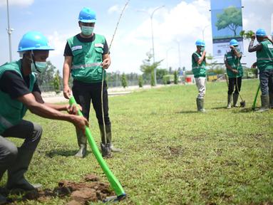 Petugas menanam pohon trembesi di Jalan Tol Trans Sumatera di Bandar Lampung (8/12/2021). Penanaman pohon trembesi di tol Trans Sumatera yang akan dilakukan hingga Aceh sepanjang 2.818 km dan seluruhnya ditargetkan selesai pada 2030. (Liputan6.com/HO/Andrey)