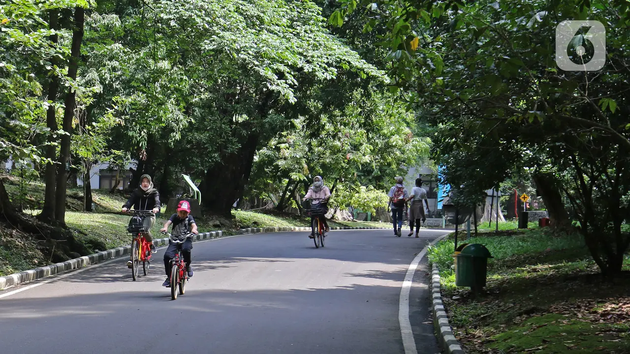 FOTO: Hore, Kebun Raya Bogor Kembali Dibuka