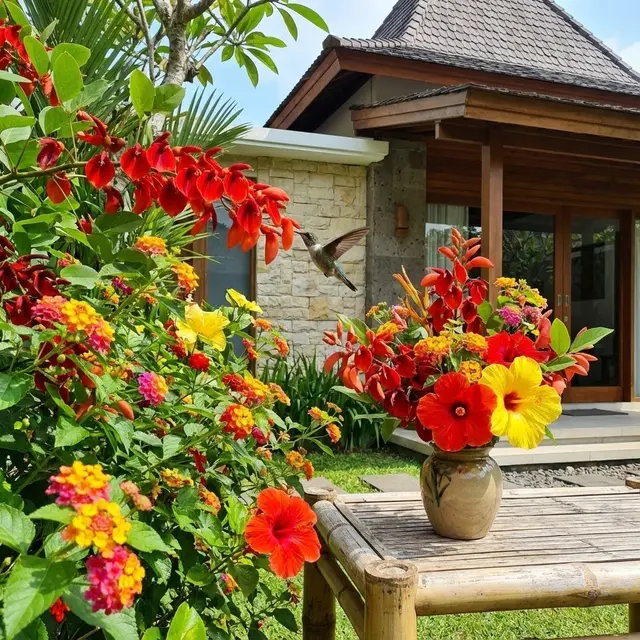Kebun Rumah yang Mengundang Burung Berkicau