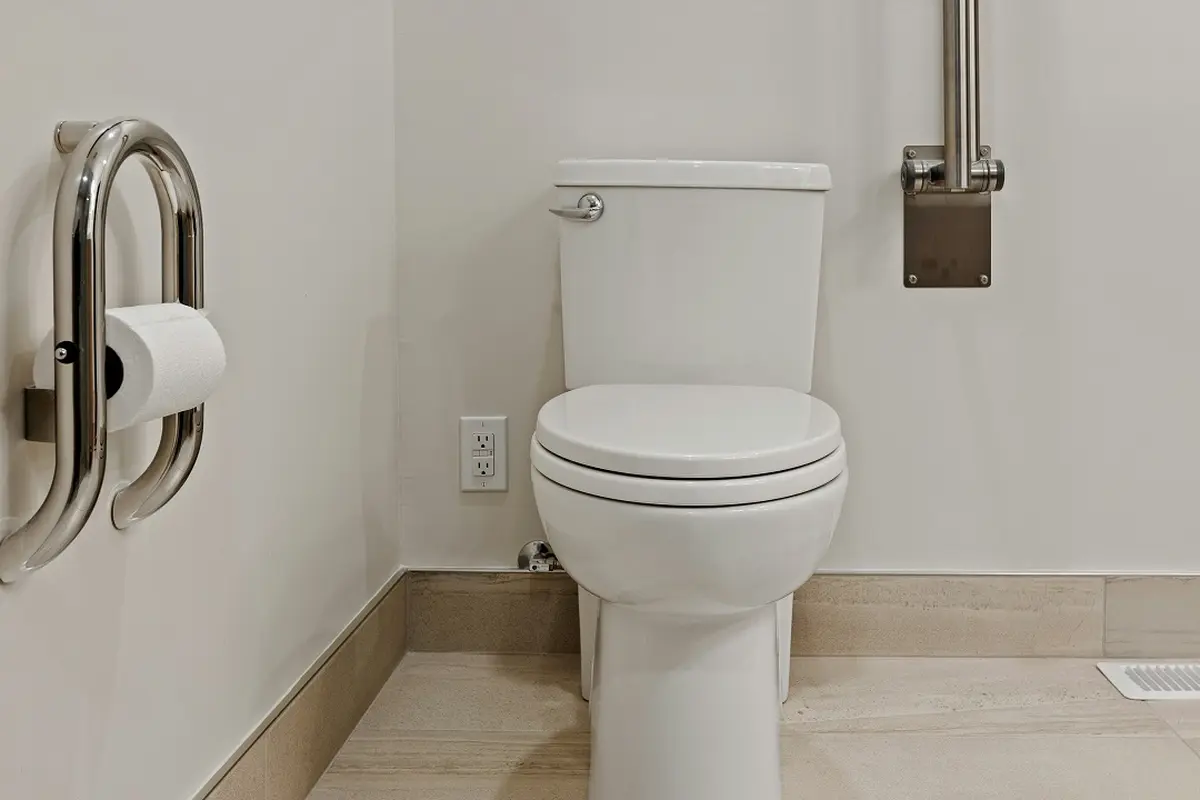 Ilustrasi Toilet
