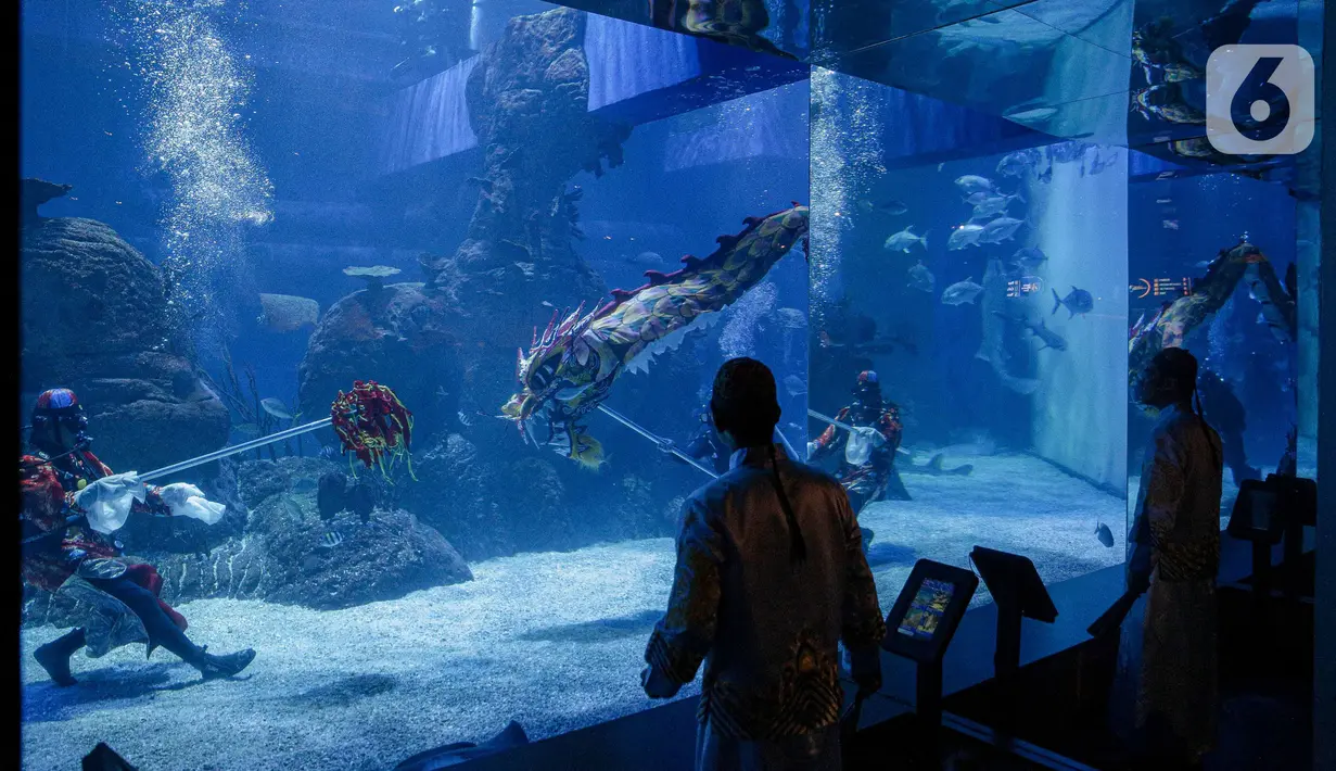 Aksi treatrikal Liong dan Putri Duyung  bawah air di Jakarta Aquarium & Safari (JAQS), Jakarta, Kamis (27/1/2022). Kegiatan dalam rangka memeriahkan Tahun Baru Imlek dan menjadi tujuan liburan akhir pekan panjang di dalam kota Jakarta yang aman dan nyaman. (Liputan6.com/Faizal Fanani)