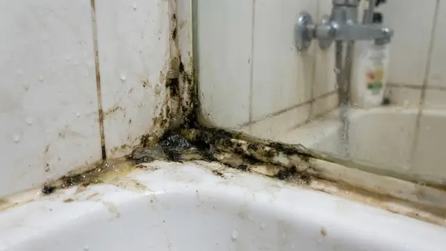 Cara Membersihkan Silikon Kamar Mandi yang Berjamur.