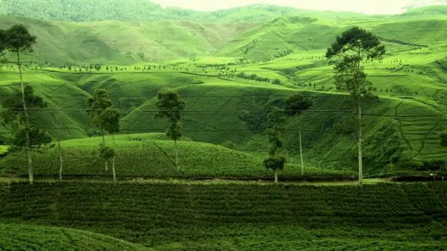4 Pemandangan Alam Ini Jadikan Kota Bandung Wajib Dikunjungi