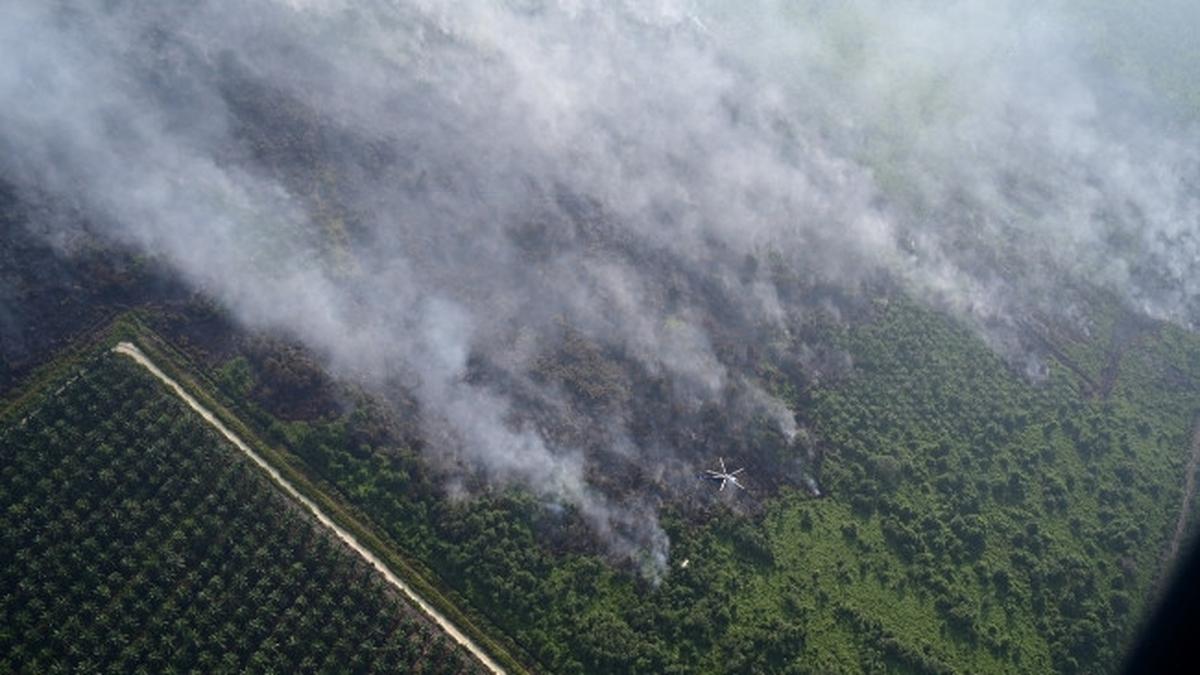 Kemenhut Kerahkan Manggala Agni untuk Pemadaman Karhutla Intensif di Riau dan Kepri
