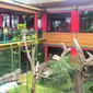 Wakil Perdana Menteri China Liu Yandong mengunjungi Taman Safari Indonesia, Cisarua, Bogor, Minggu (26/11/2017). (Liputan6.com/Achmad Sudarno)