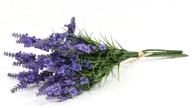 [Bintang] 5 Jenis Bunga yang Ternyata Enak Dimakan