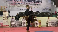 Dukungan E-commerce Voucher untuk Sukseskan Kejuaraan Pencak Silat SMI Cup Open Pandeglang