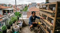 6 Ide Ternak Hemat Tempat di Balkon Rumah, Hasilkan Cuan dari Lahan Sempit