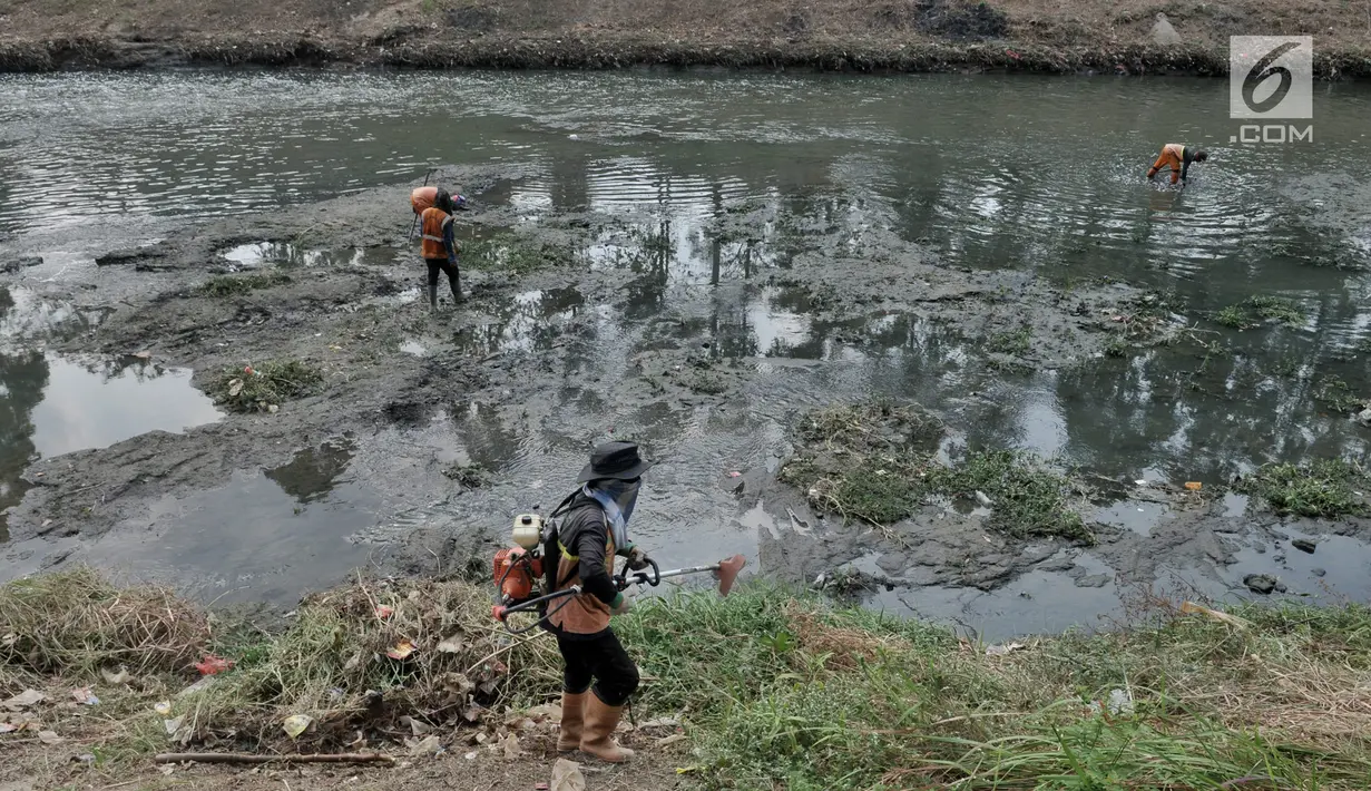 Petugas UPK Badan Air Dinas Lingkungan Hidup Provinsi DKI Jakarta membersihkan rerumputan dan sampah di dasar aliran Kanal Banjir Timur, Jakarta, Rabu (7/8/2019). Kemarau berkepanjangan mengakibatkan debit air Kanal Banjir Timur menyusut hingga dasar aliran terlihat. (merdeka.com/Iqbal Nugroho)