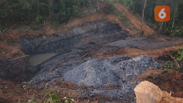 Masalah Tambang Ilegal Sudah Ada Sejak Era Kolonial, Ini Komoditas yang Diincar