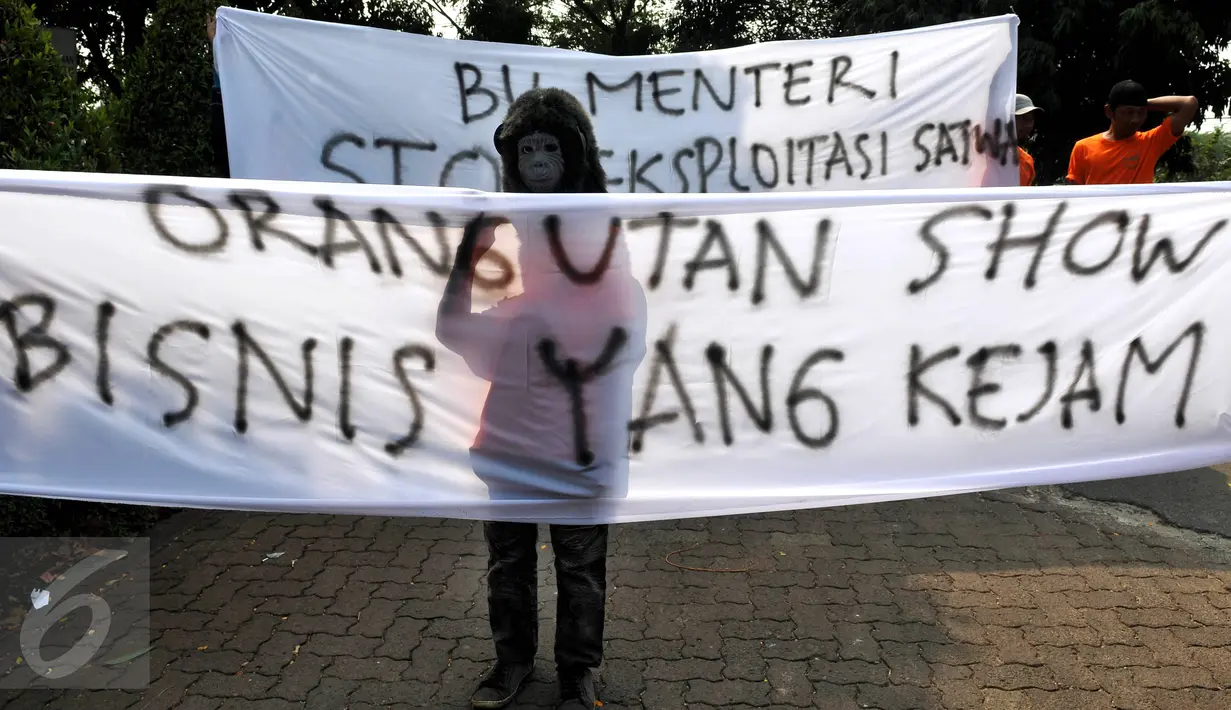 Peserta aksi memakai topeng orang utan sambil berdiri di belakang spanduk di Kementrian Lingkungan Hidup dan Kehutanan (LHK), Jakarta, Jumat (2/10). Mereka mendesak Menteri LHK untuk stop eksploitasi orang utan di Taman Safari. (Liputan6.com/Johan Tallo)