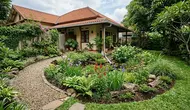 7 Ide Rain Garden di Sudut Pekarangan agar Lebih Asri dan Fungsional