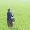 Ilustrasi petani bekerja di sawah. (Dok. Kementan)