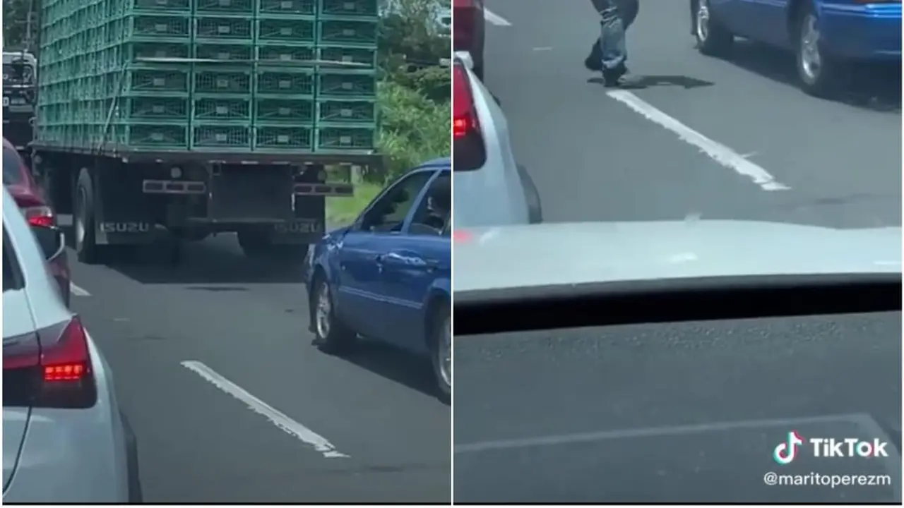 Ilustrasi ayam kabur