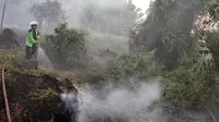 Petugas pemadam kebakaran memadamkan lahan yang terbakar di Jambi. (Bangun Santoso/Liputan6.com)