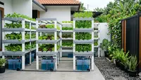 8 Ide Kebun Hidroponik di Halaman Belakang dengan Sistem Sirkulasi Otomatis: Tampilan Bersih, Rapi, dan Elegan