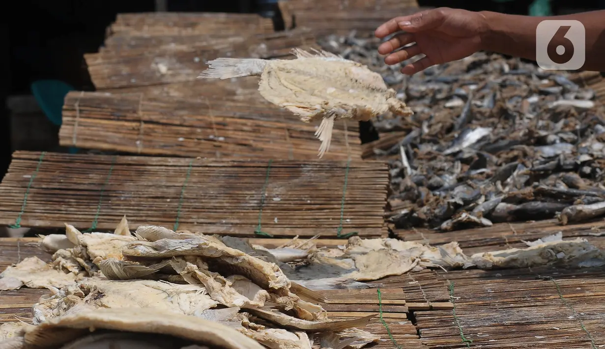 Pekerja menjemur ikan asin di perkampungan nelayan Muara Angke, Jakarta, Selasa (5/12/2023). (merdeka.com/Imam Buhori)