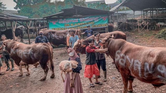 6 Momen Ria Ricis Rayakan Idul Adha, Terjun Langsung Menguliti Sapi Kurbannya