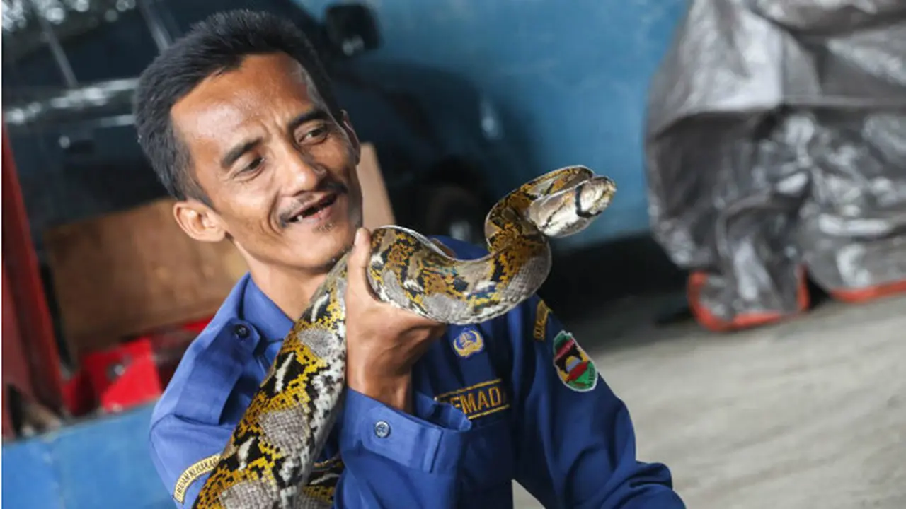 Cerita Abah Rizal, Pemadam Kebakaran yang Mampu Tundukkan Ular