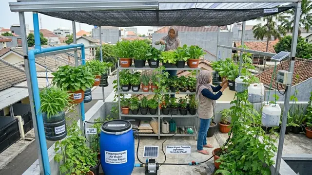 Ide Kebun Sayur Rambat di Atap Rumah Biar Lahan Sempit Tetap Produktif