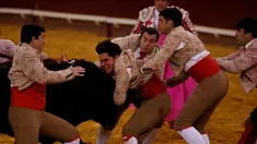 Tim Coruche Forcados saat bertarung melawan banteng di arena Campo Pequeno, Lisbon, Portugal (2/6/2016). Pertarungan ini merupakan pertunjukan tradisional yang telah lama ada di Portugal. (REUTERS/Rafael Marchante)
