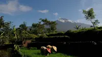 Pasar Siluman di Gunung Slamet 