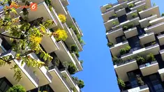 Pohon-pohon ini akan melindungi apartemen ini dari debu, angin dan juga hujan.