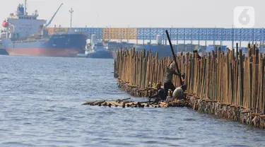 Sejumlah pekerja tampak memasang turap bambu yang menjadi penangkal abrasi di pesisir pantai kawasan Pelabuhan Marunda Center Terminal (MCT) Jurong Port JV, Tarumajaya, Bekasi, Jawa Barat (23/6/2023). (merdeka.com/Imam Buhori)