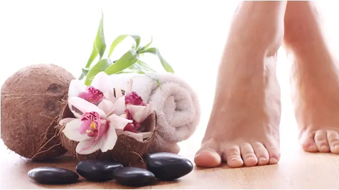 Courtesy ShutterStock.com