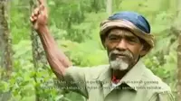 Seorang warga Wonogiri hijaukan ratusan hektare lahan di desanya.