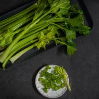 Ilustrasi  Daun Seledri/Photo by Monika Borys on Unsplash