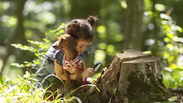Ilustrasi anak menyukai alam