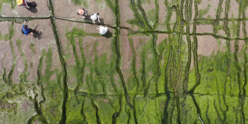 Mengunjungi Laomei Green Reef di Taipe