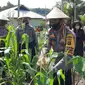 Kapolres Talaud meninjau lokasi kebun warga yang siap menunjang program desa/kampung tangguh.