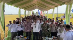 Lucky Hakim Genjot Pertanian Modern, Panen Padi Indramayu Tembus 10,45 Ton per Hektare